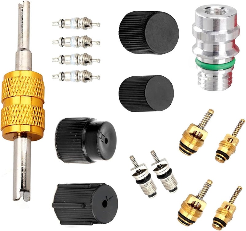 Downhill 16 PCS Air Condition Valve Core Kit, R134A A/C Ducts Pressure Caps and Service Valves, Universal AC System Charging Port Maintain Accessories, for Most Cars, Trucks, SUVs (Black) - Image 1
